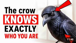The Bird That Remembers Your Face… It’s Been Following You for Months (It Won’t Stop)
