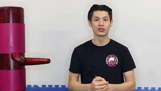 #Wing Chun Wooden Dummy Training Form Section 2 - Part1