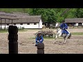 ハンガリー馬術ショー④@プスタ hungarian horse show part4@puszta