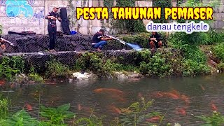 #part2 sadis...!!pemaser vs ikan berkumpul di danau ini...pesta tahunan para #paserikan