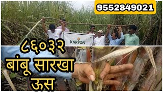 karyon organic #86032,#sugarcane,खोडवा चांगला कसा येईल, मार्गदर्शन माहिती 9552849021