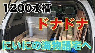 【海水水槽】1200水槽をにいに宅へドナドナ　新しい水槽も、、、