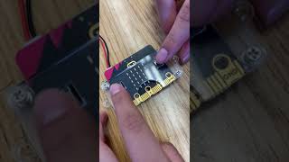 Microbit Pet C
