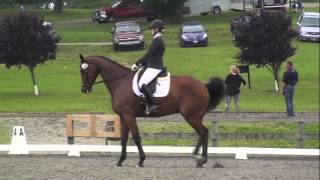 USEF Young Horse Selection Trials