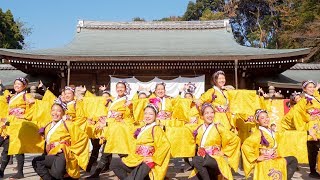 [4K] 京炎 そでふれ！輪舞曲　龍馬よさこい 2018　2日目　龍馬演舞場 (中央)