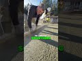 pouring concrete with pride concrete construction landscaping