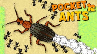 BOMBARDIMAN BÖCEĞİ NASIL YAKALANIR - Pocket Ants: Colony Simulator! TÜRKÇE - BÖLÜM 12