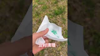 文明遛狗，从我做起