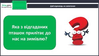 Як зимують птахи та звірі. Проєкт «Птахам на допомогу!»