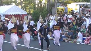 阿波踊り連　たまき・第62回東京高円寺阿波おどり2018年8月26日（日）桃園演舞場