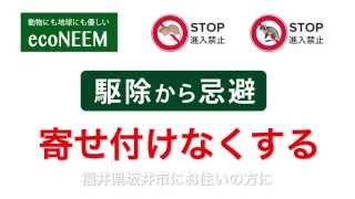 ネズミやハクビシンでお困りの福井県坂井市の方へ｜置くだけで撃退するニームが主成分の天然忌避香