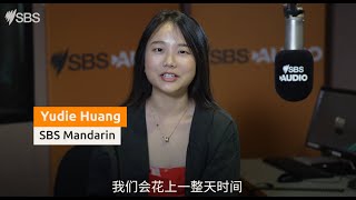 龙舞迎新岁，SBS节目组给大家拜年！ | 与SBS共庆农历新年 | SBS中文