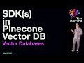 SDK(s) in Pinecone Vector DB