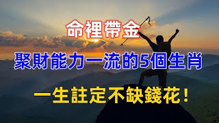 命裡帶金，聚財能力一流的5個生肖，一生註定不缺錢花！#佛語#佛門因果#運勢#生肖#生肖運勢#財運