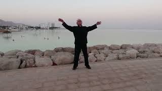 טאי צ'י צ'י קונג רפואי לניידים Qigong ded sea