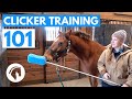 How to Clicker Train Your Horse