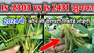 New soyabean verayti | vs js -2431| js -2303 | Rvsm 1135 | सोयाबीन की टॉप वेरायटी