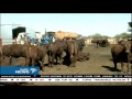 S Africa face rising food prices as drought intensifies