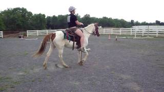 M4H06009.MP4