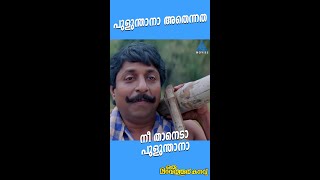 #MovieReels പുളുന്താനാ അതെന്നത്, നീ താനെടാ പുളുന്താനാ