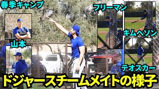 今日のチームメイトまとめ！大谷は二刀流の自主練で大忙し！ライブBPにフリーマン、テオスカー、キムヘソンが参加して山本も見学【現地映像】2025年2月22日スプリングトレーニング