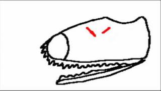 asdfcomp - shoes