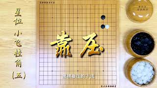 围棋【职业棋手讲AI定式】星位 小飞挂角（五）