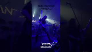 Distant Dream Solo Live Performance #guitarsolo #liveperformance