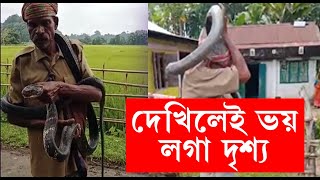 প্ৰকাণ্ড ফেটী সাপ কান্ধত লৈ ধেমালি, মৃত্যু এজনৰ