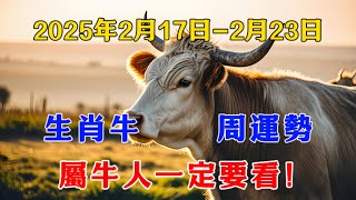 2025年2月17日--2月23日屬牛人 周運勢  再忙再有錢也一定要看！！！#十二生肖 #星座 #2025年の運勢 #熱門 #五行八字 #财運 #流量 #推薦 #正能量 #風水佈局