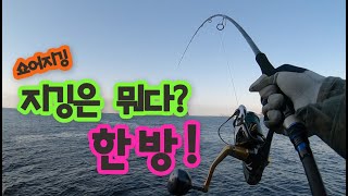 #쇼어지깅ㅣ낚시가 지루하신가요? 이런게 있는데?? #제주도섶섬