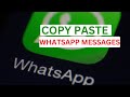 How To Copy And Paste A WhatsApp Message | WhatsApp Tutorial