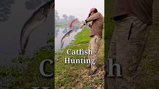 Fish Hunting using Airgun | Wallago Attu Catfish Pathan Fish hunting with Airgun #fishing #airgun