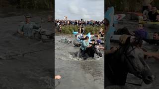 Passage du dernier taureau rattrapé à la gase d’Aigues Mortes