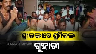 42 Odia Migrant Labourers Stranded In Sri Lanka, Requests Govt Help