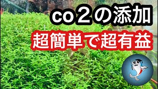 【はじめての二酸化炭素添加】CO2は正しく添加しないと逆効果