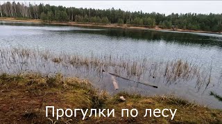 Прогулки по лесу | Вдоль озера.  Меняю GoPro12 на GoPro13.