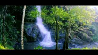 KADAPPARA WATERFALLS | Tourism Kerala | Palakkad