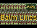 Oxygen Not Included - Plant Tutorial Bites - Balm Lilies