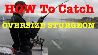 How To Catch Oversize White Sturgeon - Fishing with David Pyle