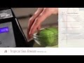 Tropical Sea Breeze Green Smoothie Recipe - Blendtec Recipes