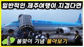 제주도 술 여행기 몰아보기