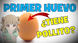 El primer huevo de la gallina tiene pollito???