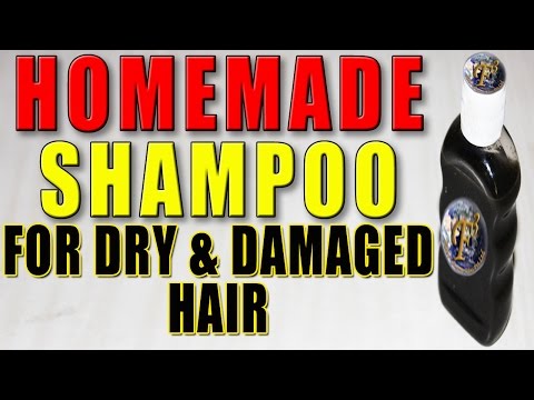 Home Made Shampoo For Dry & Damaged Hair II रूखे और नुक्सान हुए बालो के लिए घर का बना शैम्पू II Home Made Shampoo For Dry & Damaged Hair II रूखे और नुक्सान हुए बालो के लिए घर का बना शैम्पू II
