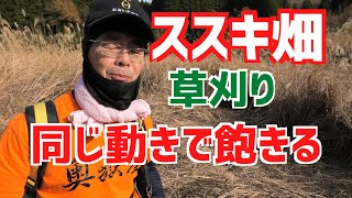 地形が分からない耕作放棄地の田んぼ！まっすぐ突っ切る！