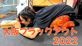 【爬虫類イベント】ブラックアウト大阪で念願の大型種を手に入れた【BLACK OUT】