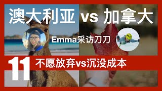 出国留学，加拿大or澳大利亚？｜第11期：不愿放弃 vs 沉没成本｜两位YouTuber倾力呈现｜刀刀在枫叶国 | EmmaAUBNE | 澳洲留学｜加拿大留学