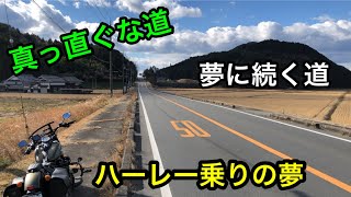 ハーレーに乗ってどこまでも真っ直ぐ行きたい！夢の道