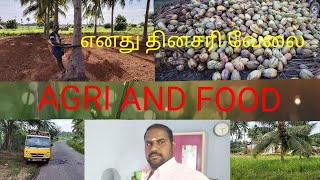 எனது தினசரி வேலைகள் 🌴🌾🌴🌾/ AGRI AND FOOD