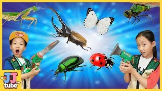 Find an Insect in Backyard. Hide and Seek with Bugs 할아버지 밭에서 곤충채집 놀이 [제이제이 튜브-JJ tube]